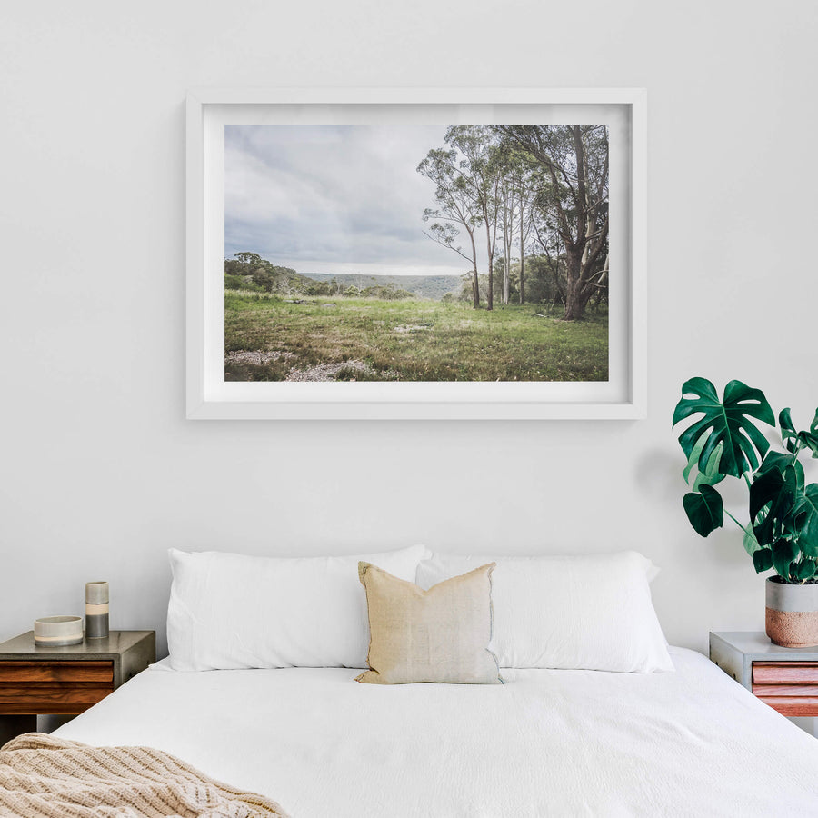 white frame