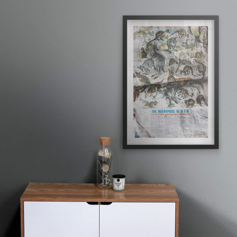 black frame