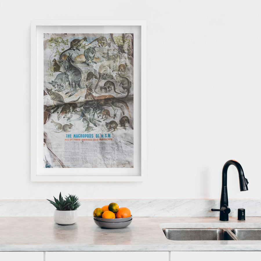 white frame