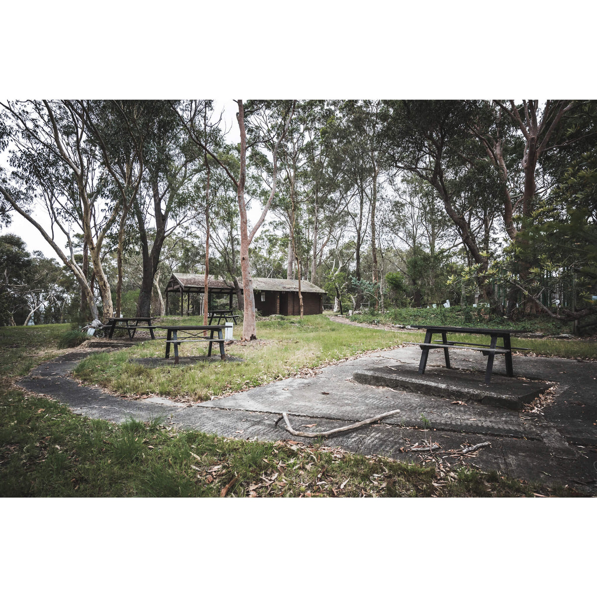 Picnic Grounds | Waratah Park