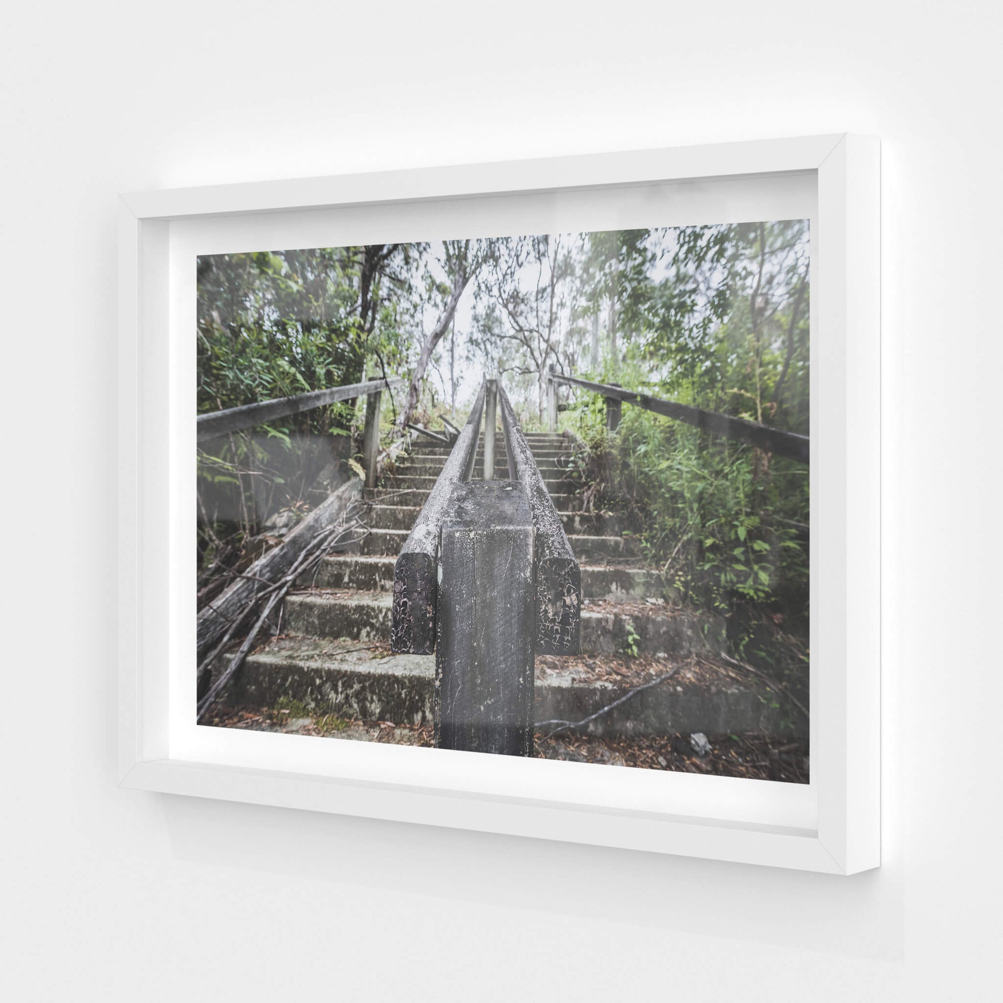 Stairs | Waratah Park Fine Art Print - Lost Collective Shop