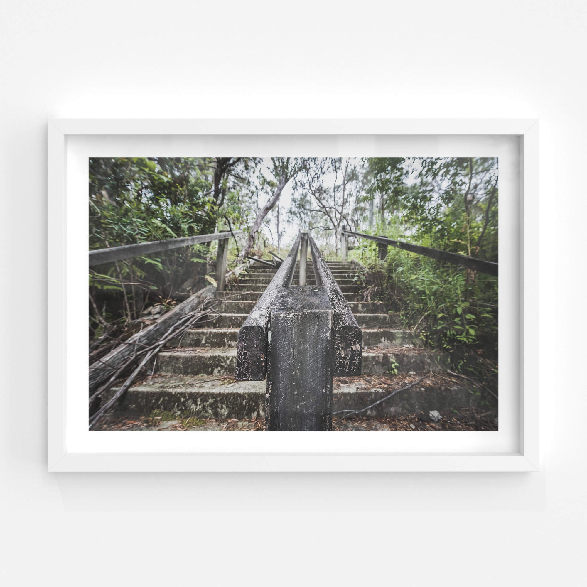 Stairs | Waratah Park Fine Art Print - Lost Collective Shop