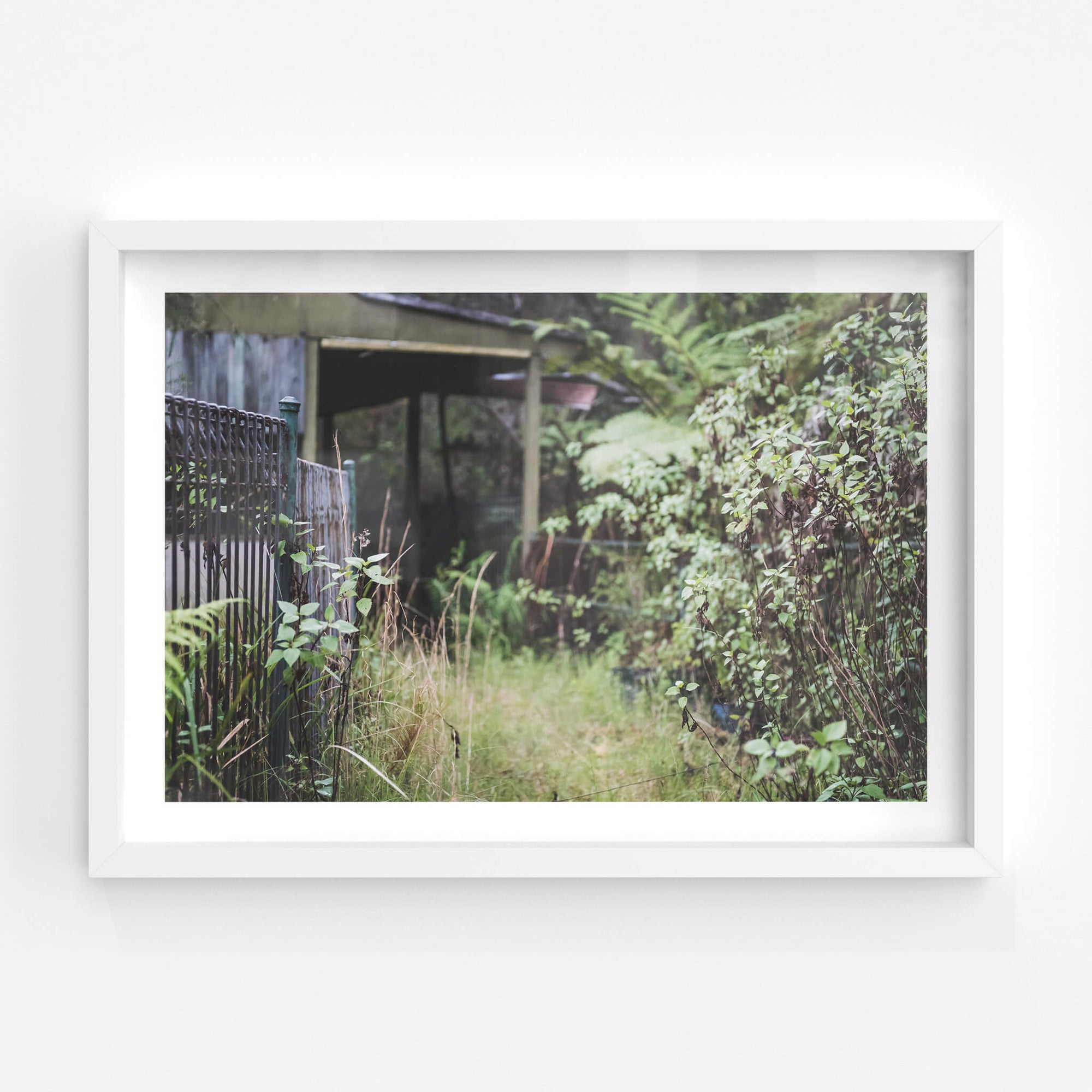 Station Entrance | Waratah Park Fine Art Print - Lost Collective Shop