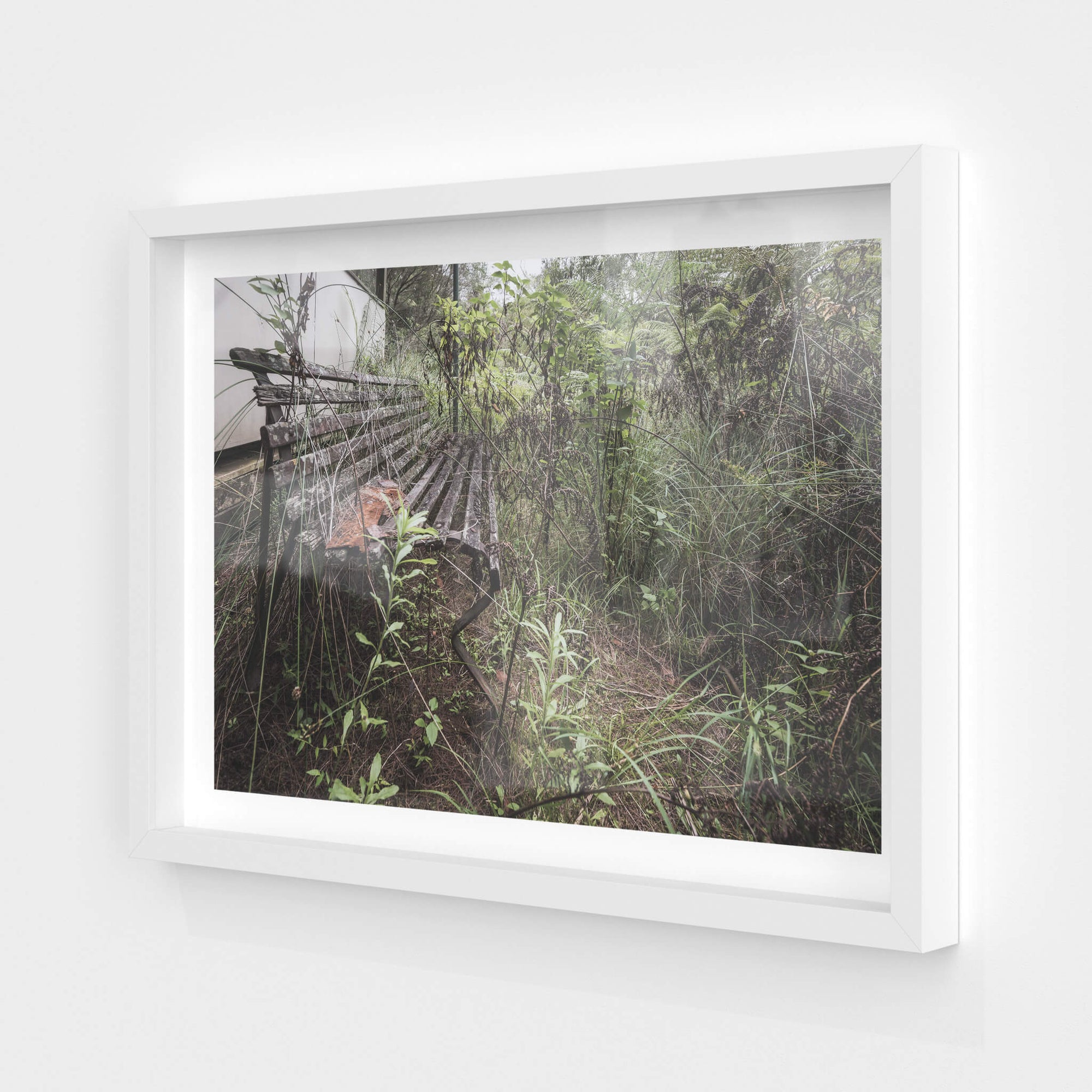 Train Stop | Waratah Park Fine Art Print - Lost Collective Shop