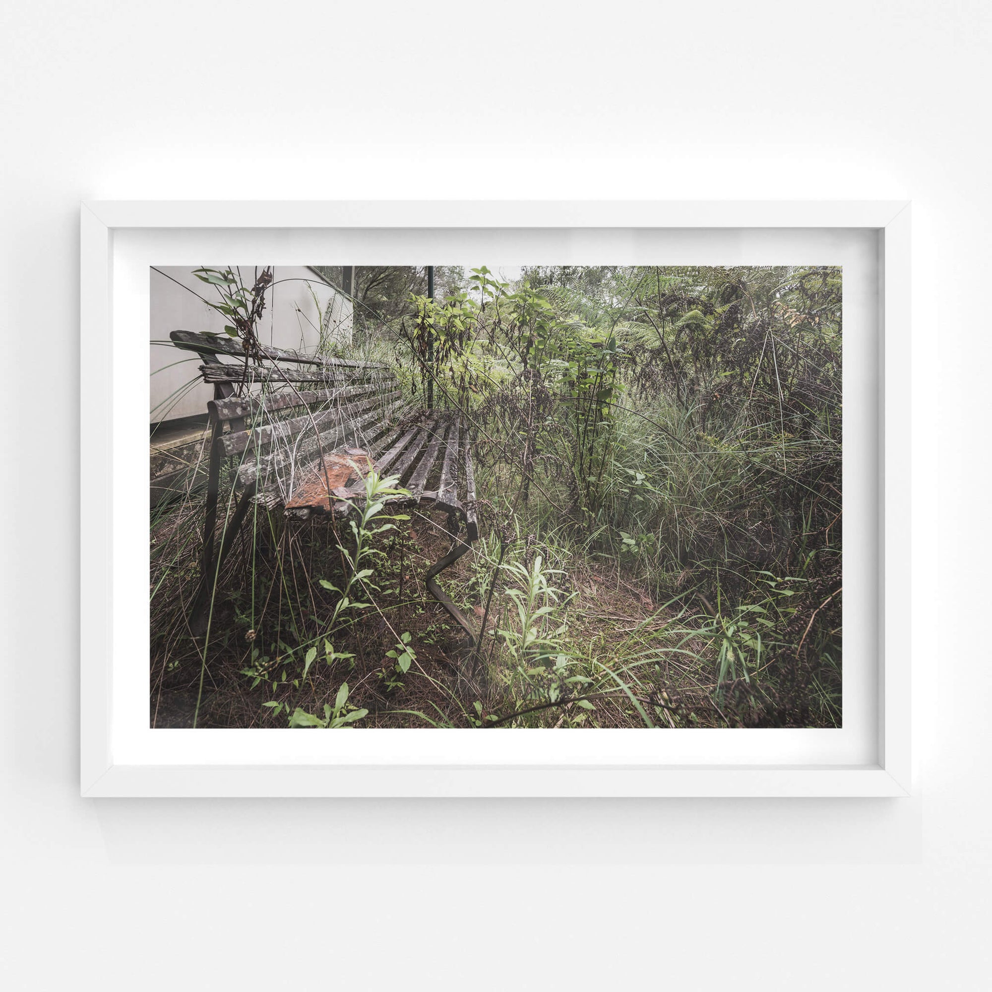 Train Stop | Waratah Park Fine Art Print - Lost Collective Shop