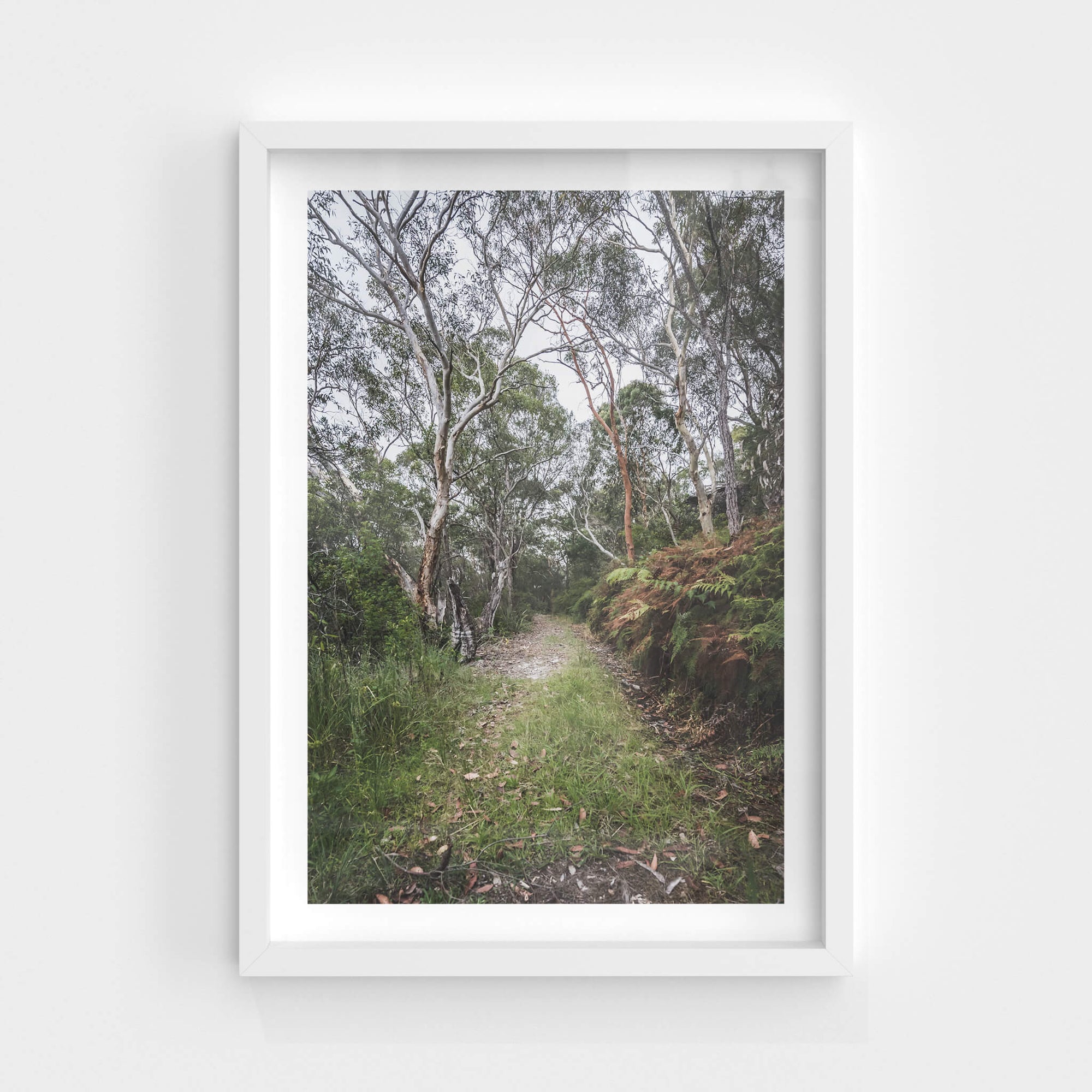 Walking Track | Waratah Park