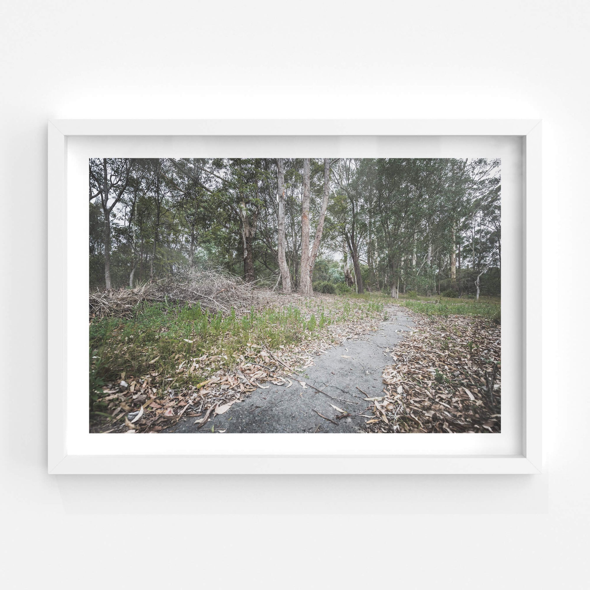 Walkway | Waratah Park