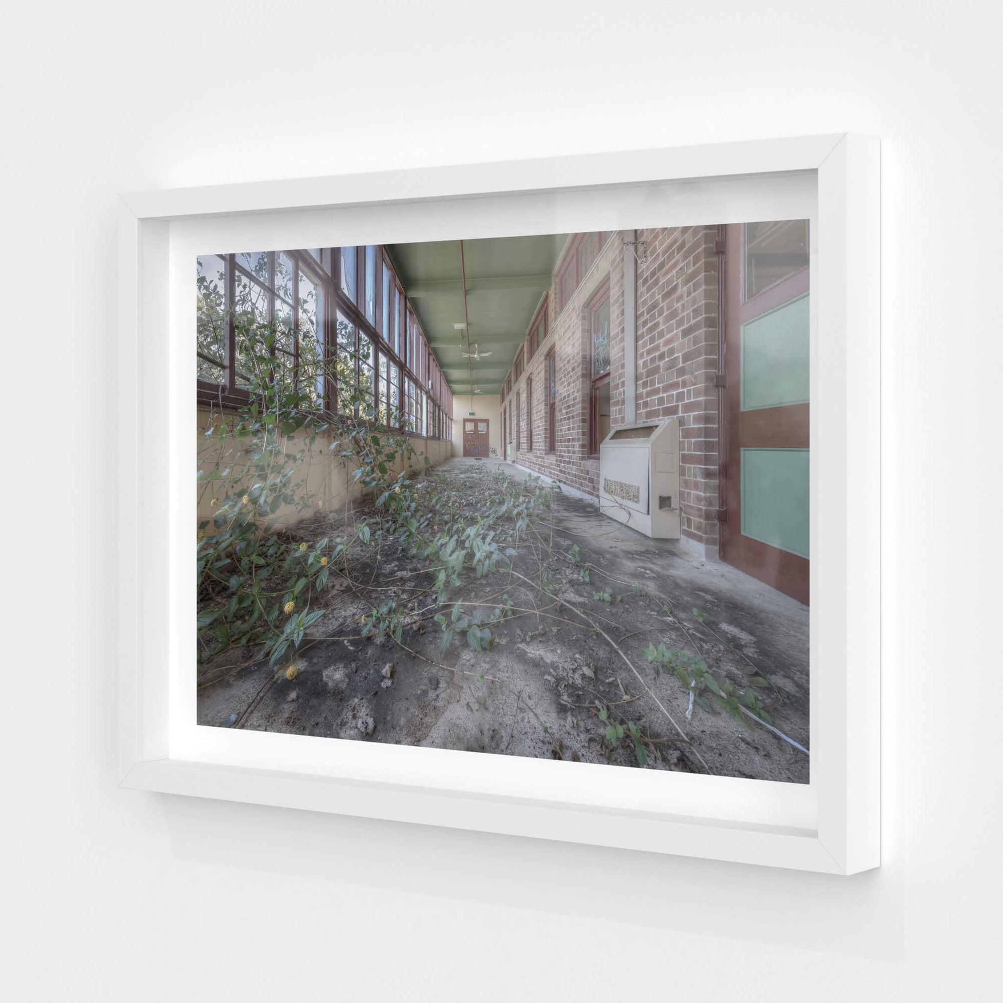 Encroach | Waterfall Sanatorium Fine Art Print - Lost Collective Shop