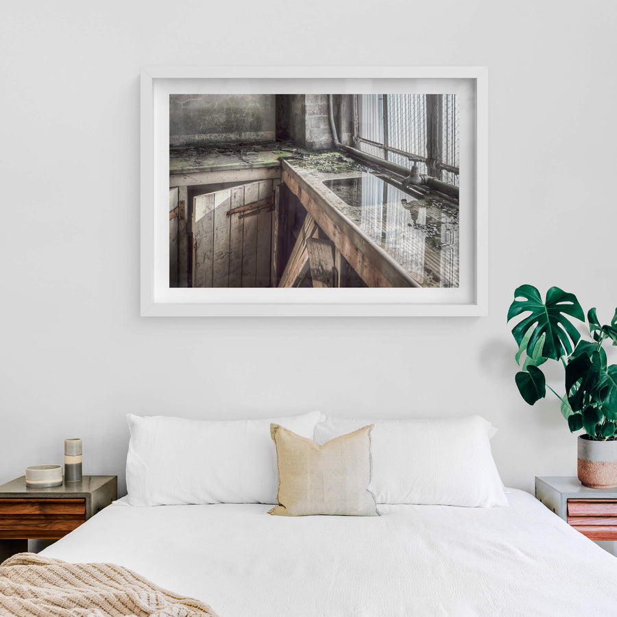white frame
